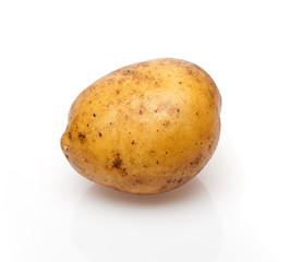 Potato