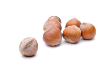 Hazelnuts