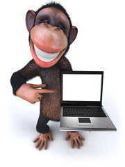 Singe avec un ordinateur portable