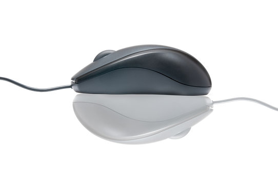 Modern mouse with opposite reflection