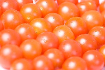 several ripe tomatos