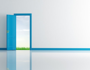 blue open door