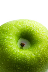 fresh green apple with water droplets isolated