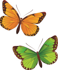 two butterflies