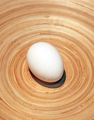 Egg