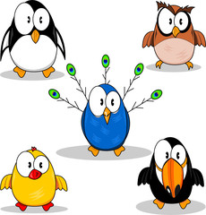Cartoon birds