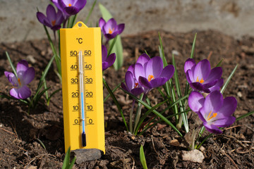 Spring Temperatures