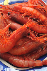 Gamberi