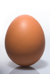 Brown egg on end against white