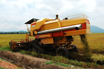 Fototapeta premium harvest machine
