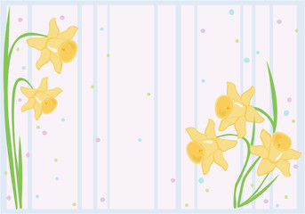 Obraz premium daffodil background