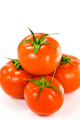 tomatoes