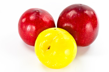 plums on white background