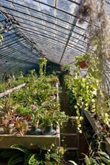 Plants and Flower Nursery