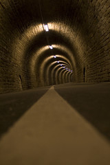 Walk the Line