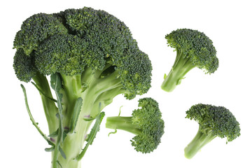 Broccoli over white
