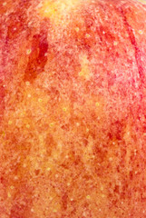 Red apple texture