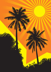 Sunlit palm trees with buildings under the tropical sun