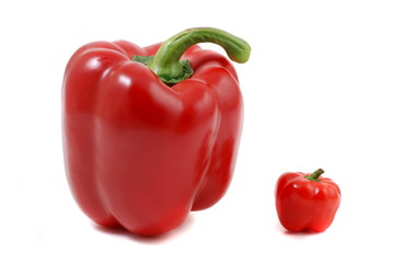 Red paprika