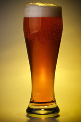 Glass of beer