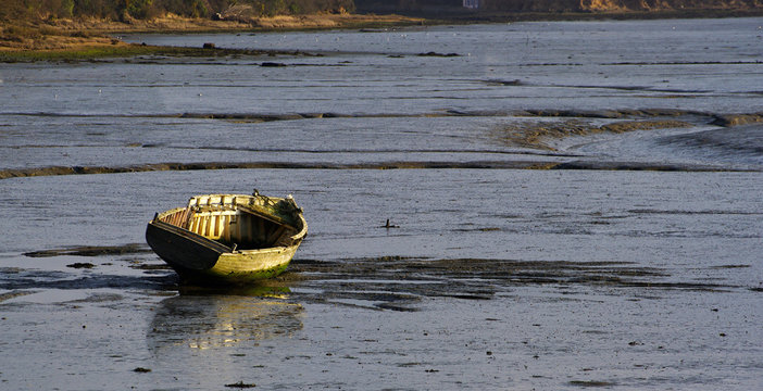 barque dans le golfe du morbihan a mar&eacute;e basse