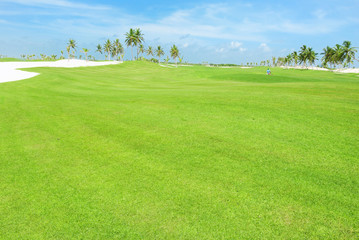 Golf field