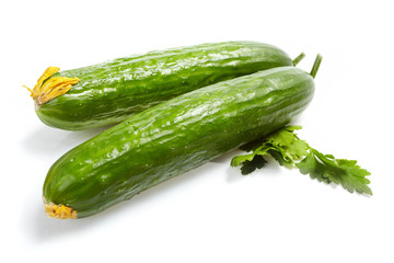 Fresh Vegetables, cucumber