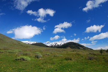 Patagonian meadow near El Calafate Argentina