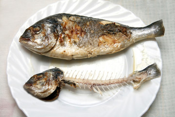 fish plate
