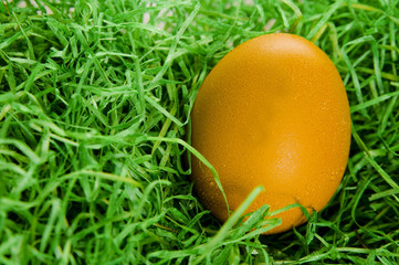 Easter egg on green grass