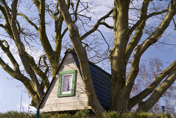 tree house