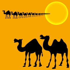 camels illustration vector silhouettes