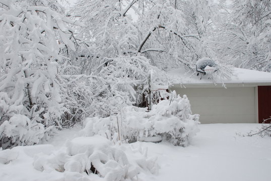 After the winter storm