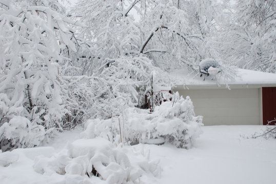 After the winter storm