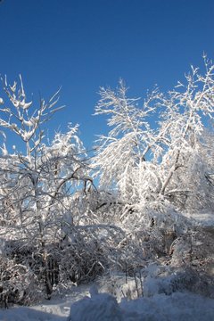 After the winter storm