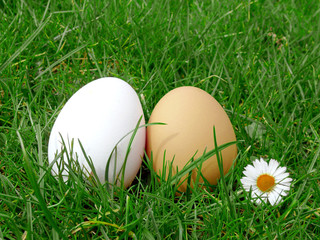 Ostern,Ostereier auf Wiese.