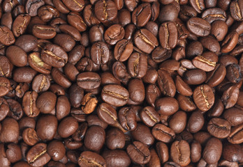 Obraz premium Coffee beans