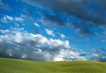 Dramatische Wolken, Unwetter über grüner Landschaft, Weizen