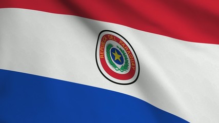 Paraguayan Flag