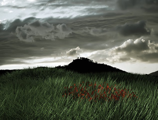 paisaje © juanjo