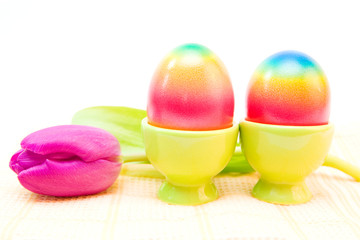 easter egg and purple tulip isolated on white