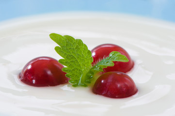 macro image of yogurt and fruit