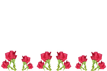 Fototapeta premium RED rose flower border