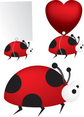 ladybird set