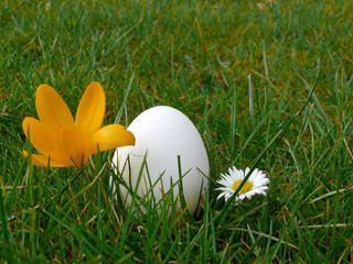 Osterei,Frühling