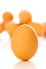 Brown egg on white - shallow depth of field