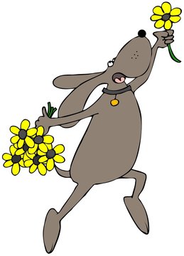 Flower Dog