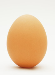 An egg