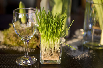 grass in vase of glasses and glass on table. decoration of dinin