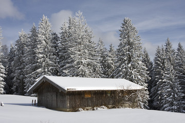 hütte im schnee
